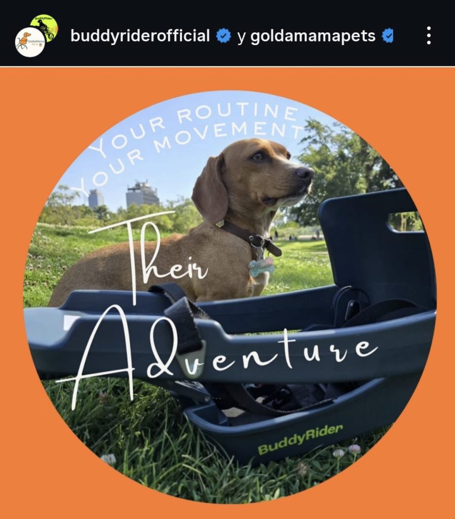 whatsapp image 2026 03 10 at 15.07.43 1