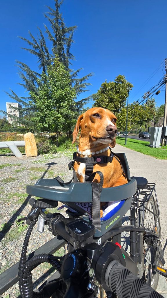 whatsapp image 2026 03 10 at 16.05.56