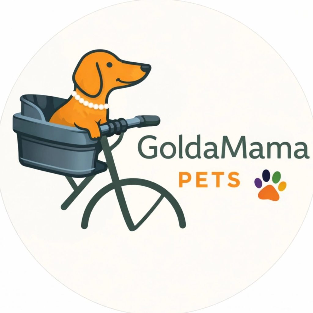 whatsapp image 2026 03 12 at 16.37.44